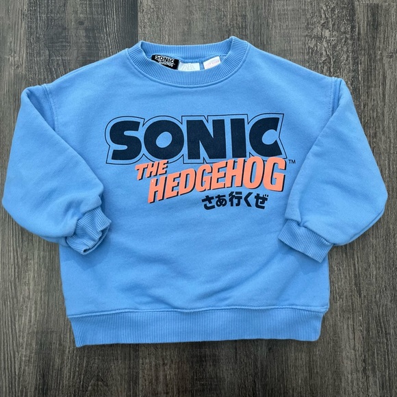 Zara Sonic Sweater - Picture 1 of 6